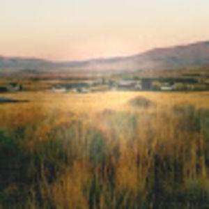 Meet your Posher, Ronnie